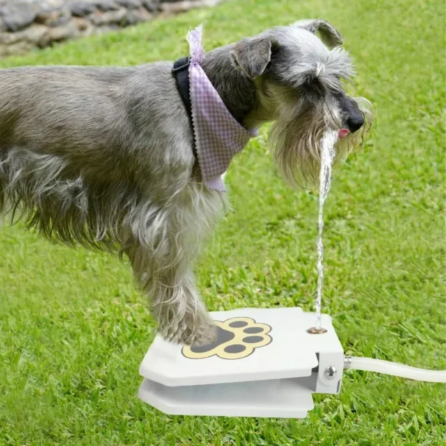 Outdoor Automatic Dog Water Fountain Step On Toy Dog Drinking Joy With Pets Security Without Electricity For Dogs Drinking - Image 6