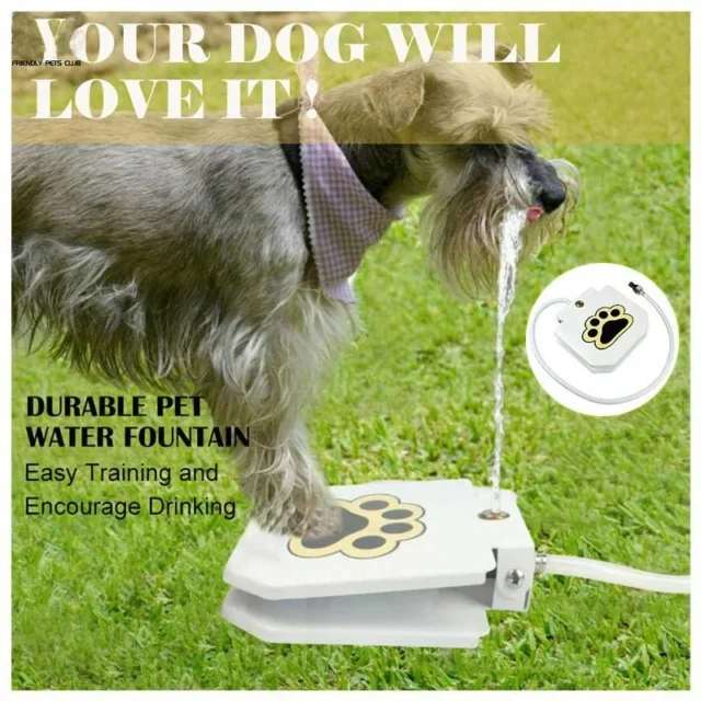 Outdoor Automatic Dog Water Fountain Step On Toy Dog Drinking Joy With Pets Security Without Electricity For Dogs Drinking