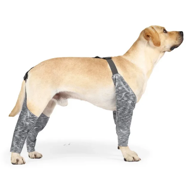 Adjustable Dog Leggings to Prevent Licking Pee Dog Recovery Sleeve Dog Sleeves for Wounds Front Back Legs Waterproof - Image 4