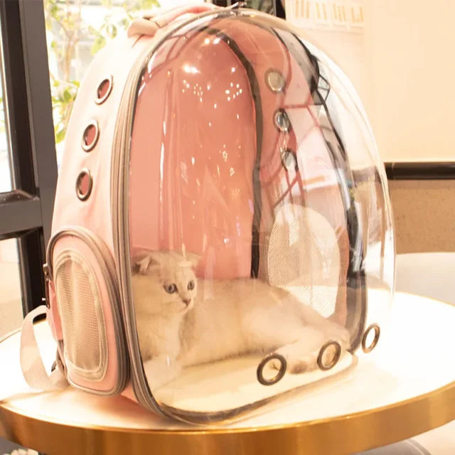 Transparent Bubble Pet Carrier Backpack Space Capsule Astronaut Breathable Backpack Outdoor Travel High Quality - Image 4