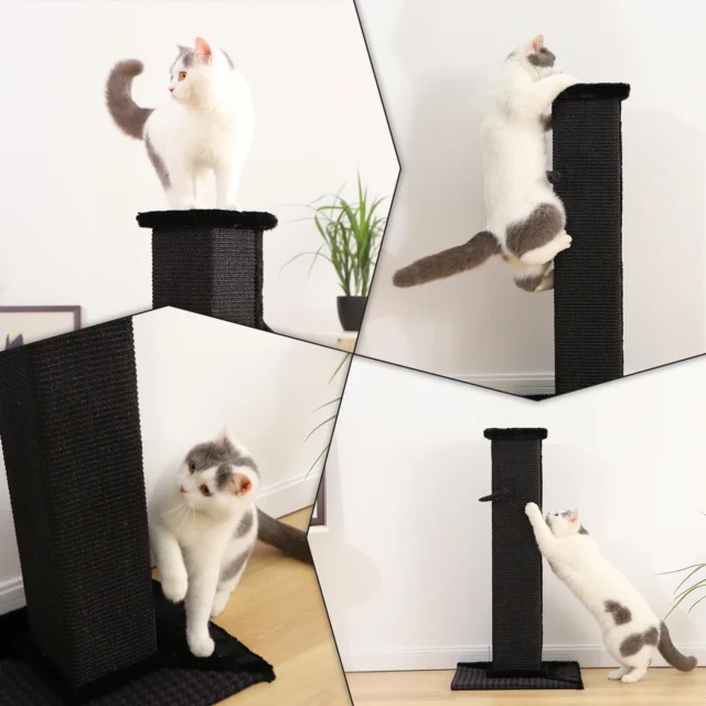 H82cm Pet Cat Tree Scratching Post for Indoor Plush Top Perch Stable Durable with Ball Black Natural Sisal Protecting Furniture - Image 4