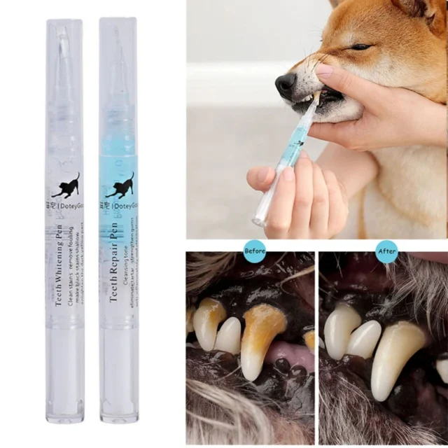 5ml Pets Teeth Cleaning Tool Dogs Cats Tartar Stones Scraper Plastic Cleaning Pen Cleaning Tools - Image 4