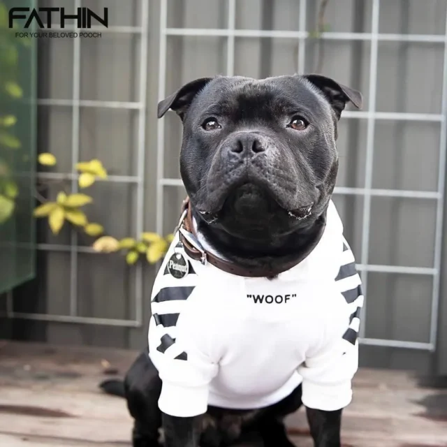 FATHIN French Bulldog Warm Clothes Dog Hoodie Adidog Sport Dog Hoodies Pet Clothes Puppy Dog Pugs Puppy Clothes