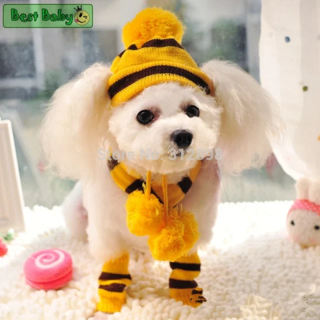 Winter Pet Puppy Accessories For Dogs Knitted Striped Hats Scarf Socks Little Small Big Animals Yorkshire Chihuahua Cat Products - Image 3