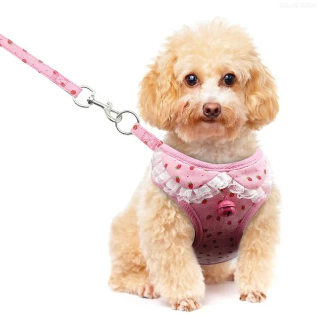 Benepaw Durable Floral Dog Harness And Leash Set Adjustable Breathable No Pull Bell Pet Harness Vest For Small Medium Dogs Cats - Image 3