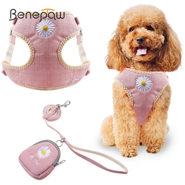 Benepaw Embroidery Flower Dog Harness Leash Set Snack Bags Durable Lightweight Adjustable Breathable Mesh Pet Puppy Harness Vest