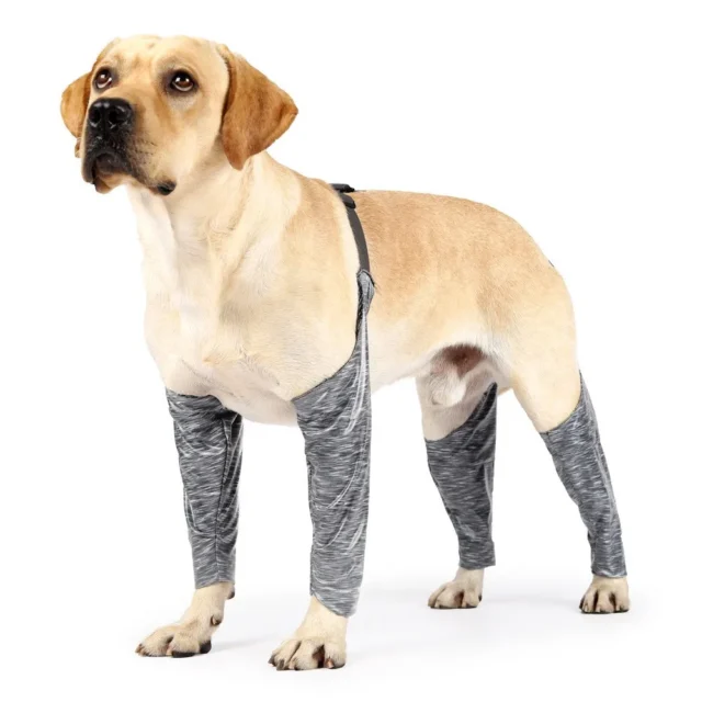 Adjustable Dog Leggings to Prevent Licking Pee Dog Recovery Sleeve Dog Sleeves for Wounds Front Back Legs Waterproof - Image 5