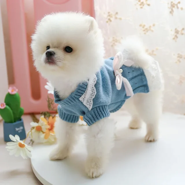 Autumn Warm Pet Dog Sweater Dress for Small Cats Dogs Puppies Bichon Yorkie Comfortable Pet Hollow Out Lace Bow Knit Sweater - Image 6