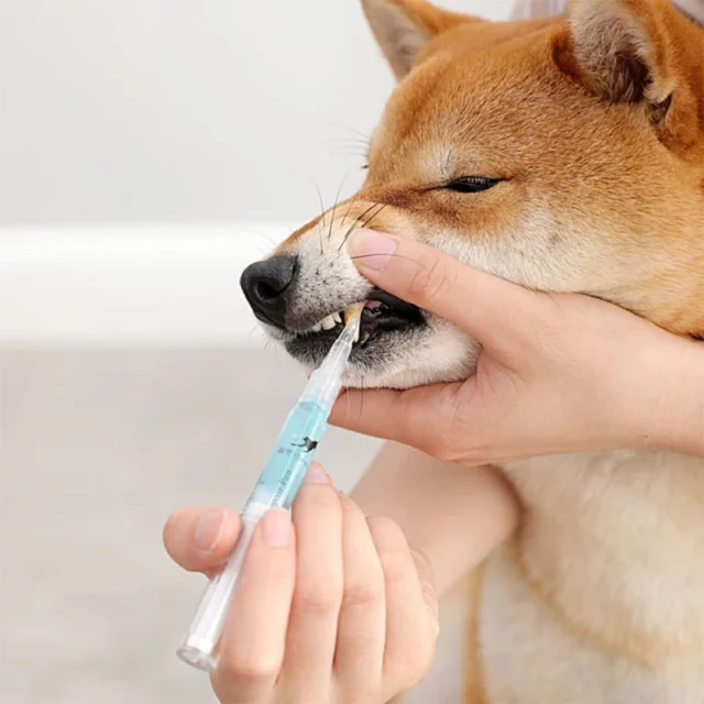 5ml Pets Teeth Cleaning Tool Dogs Cats Tartar Stones Scraper Plastic Cleaning Pen Cleaning Tools - Image 3