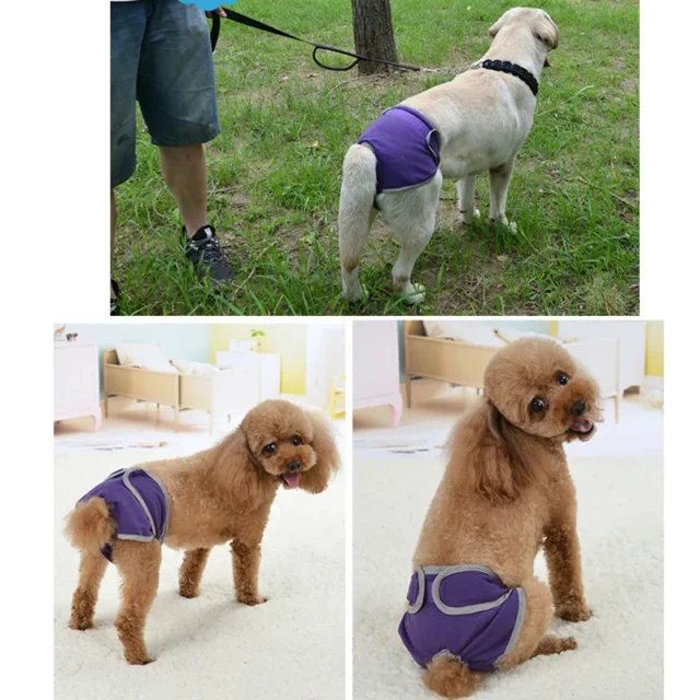 Female Dog Shorts Washable Cotton Panties Menstruation Underwear Briefs Jumpsuit Pet Physiological Pant Diaper Sanitary For Dog - Image 6