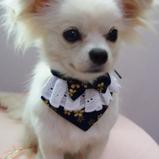 Japanese Style Handmade Dog Lace Bow Bib with Cute Bow Tie Pet Dog Scarf for Puppies Medium Dogs Pet Accessories