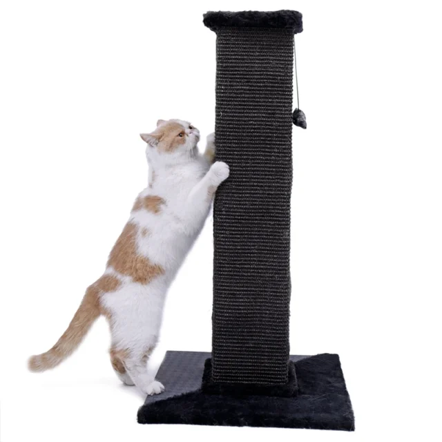 H82cm Pet Cat Tree Scratching Post for Indoor Plush Top Perch Stable Durable with Ball Black Natural Sisal Protecting Furniture - Image 3