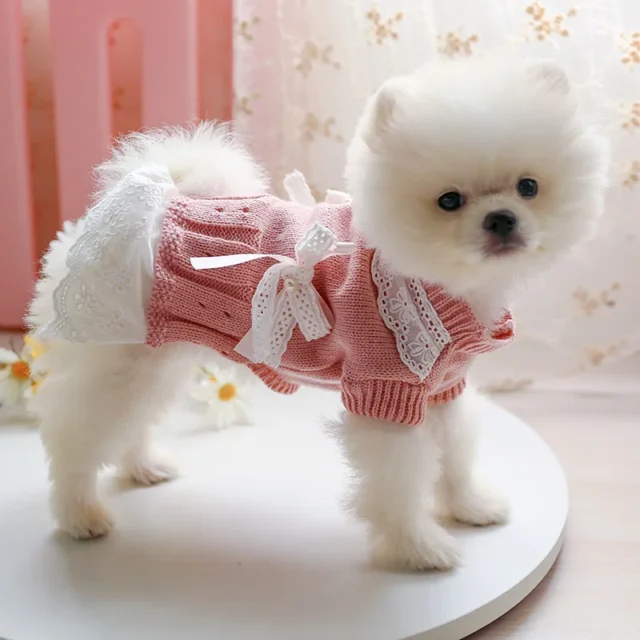 Autumn Warm Pet Dog Sweater Dress for Small Cats Dogs Puppies Bichon Yorkie Comfortable Pet Hollow Out Lace Bow Knit Sweater - Image 2