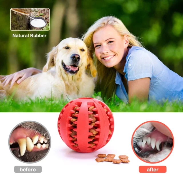 Pet Dog Toy Interactive Rubber Balls for Small Medium Dogs Cat Chewing Toys Pet Tooth Cleaning Indestructible Dog Food Balls - Image 3