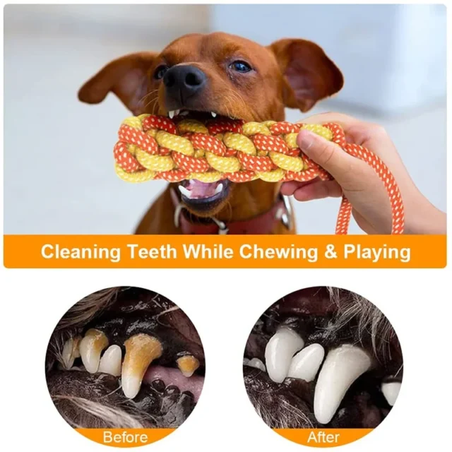 Interactive Cotton Rope Dog Toys Bite-Resistant Pet Puppy Dog Toy Chew Ball Toy for Small Large Dogs Teeth Cleaning Pet Supplies - Image 3