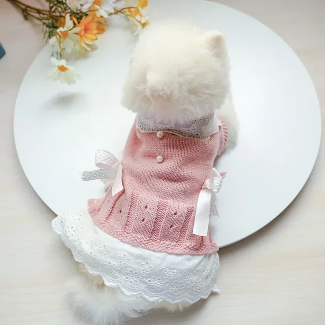 Autumn Warm Pet Dog Sweater Dress for Small Cats Dogs Puppies Bichon Yorkie Comfortable Pet Hollow Out Lace Bow Knit Sweater - Image 4