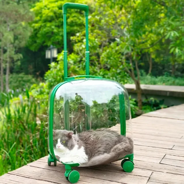 Pet Dog Cat Travel Transport Bag Rolling Luggage Backpack Handbag Trolley Case Outing Portable Fashion Car - Image 2