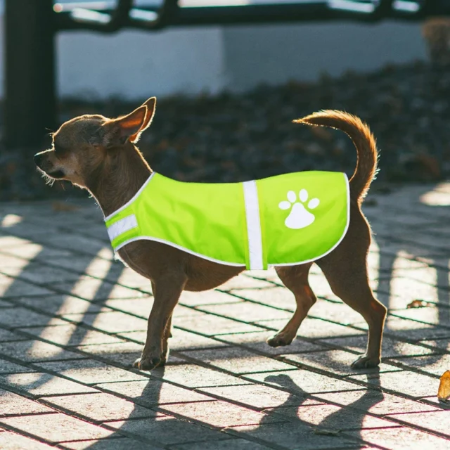 Benepaw Adjustable Dog Reflective Vest Waterproof Fluorescent High Visibility Dog Jacket Help Protect Your Puppy Outdoor - Image 2