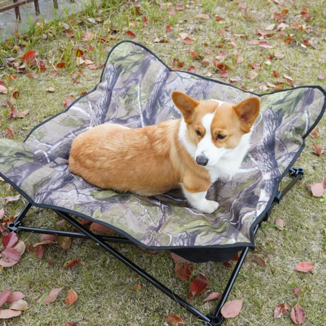 Foldable Elevated Dog Nest, Outdoor Camping, Pet Camping Lounge Bed, Removable, Washable, All Seasons, Universal - Image 4