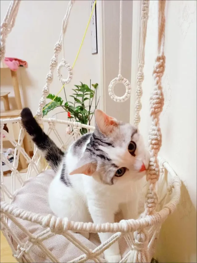 New Pet Hammock Cat Swing Hand Woven Cotton Rope Cats Hanging Basket Kitten Hanging String Den Indoor Pend Nest Pets Supplies - Image 2