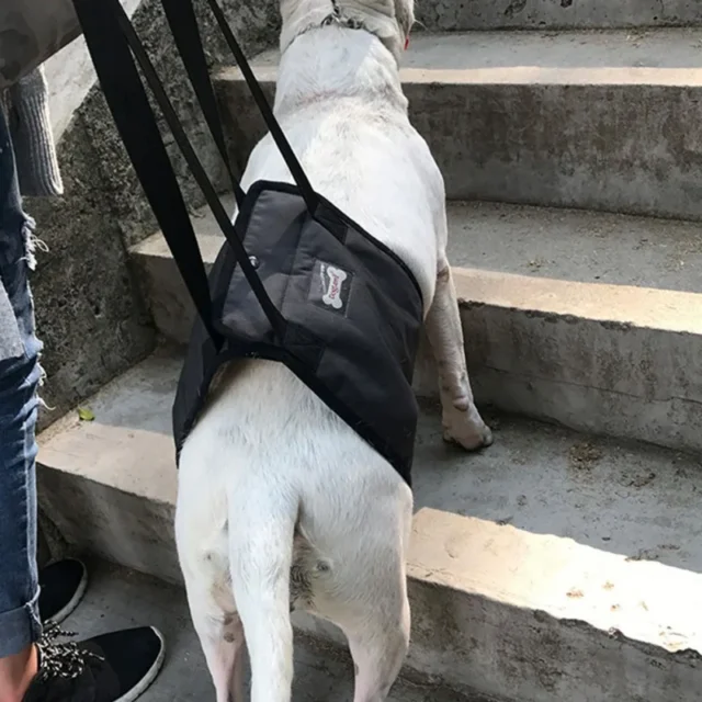 Portable Dog Sling For Back Legs Hip Support Harness to Help Lift Dogs Rear For Canine Aid and Old Dog Ligament Rehabilitation - Image 4