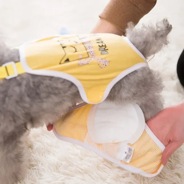 30pcs Dog Diaper Diapers for Female Dog Shorts Panties Dog Diaper Pad Female Sanitary Pants Disposable Doggie Physiological Pant - Image 2