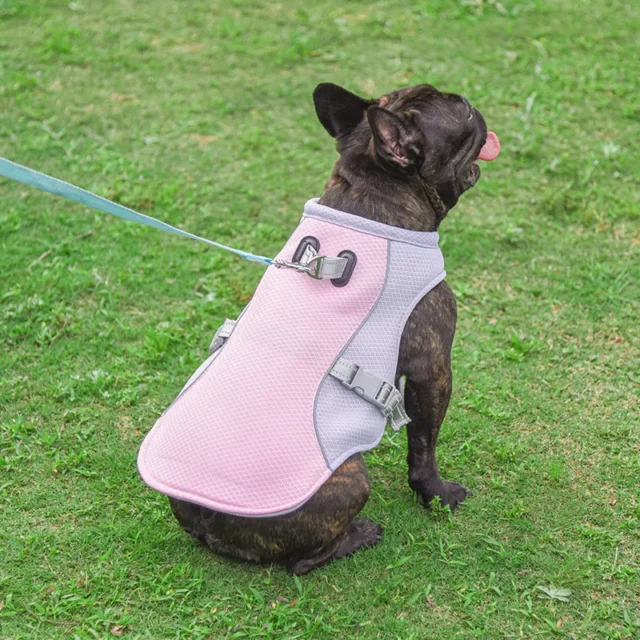 Ice Cooling Dog Vest, Mesh Clothes for Small, Medium and Large Dogs, Outdoor Pet Cool Down Jackets, Breathable Big Dog Harness, - Image 5