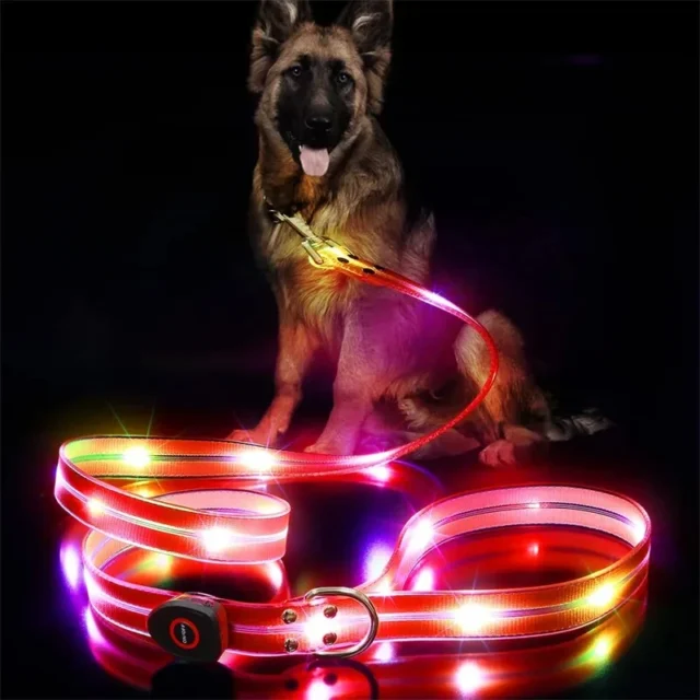 Led Light Up Dog Leash Walking Safety Glow in The Dark USB Rechargeable Adjustable for Large Medium Small Pet Lighted Dog Collar - Image 2