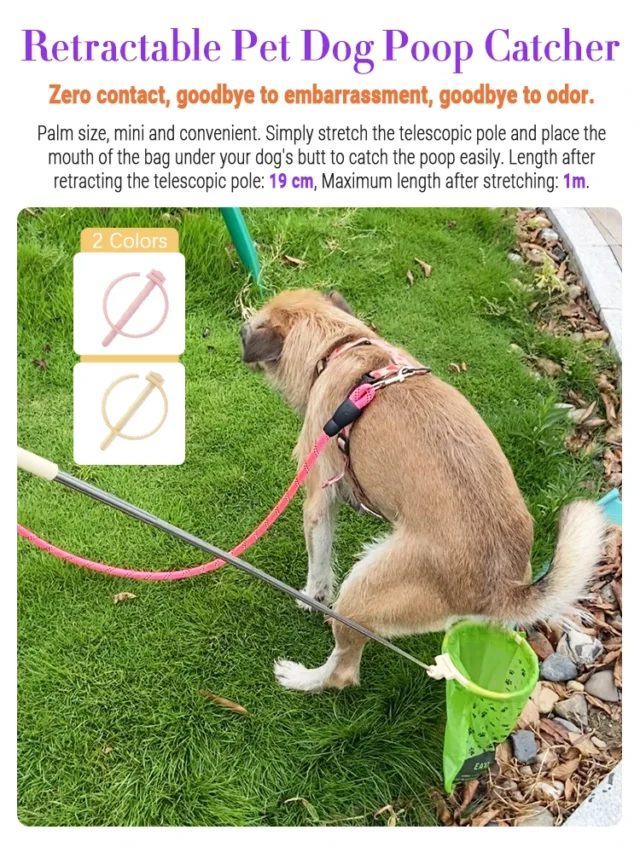 Pet Dog Poop Catcher with Bag Metal Foldable Long Handle Portable Lightweight No Touch Dog Pooper Collector Cleaner Tool Outdoor