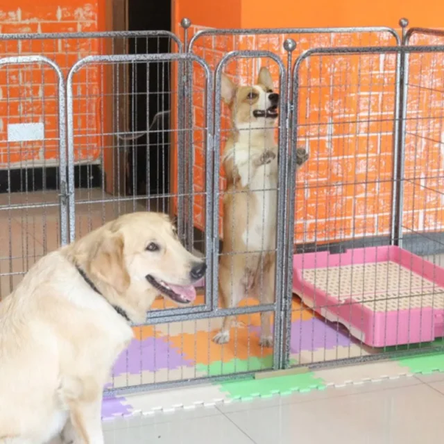 Outdoor activity dog fence dog cage multifunctional folding pet fence size pet fence, used for managing pet fences - Image 2