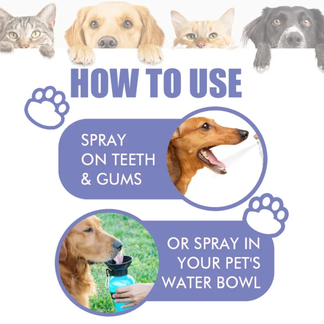 Pet Oral Care Spray Teeth Cleaning Pet Tooth Whitening Remove Bad Breath Keep Fresh Breath Remove Tooth Stains For Cats and Dogs - Image 6