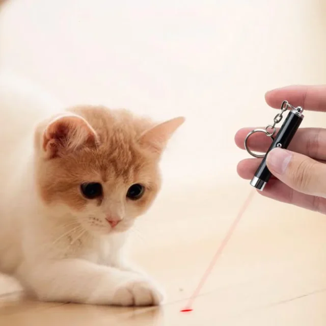 6 Colors 2-In-1 Cat Pet Toy Red Laser Light LED Pointer Pen Keychain White Flashlight Torch Interactive Training For Cat Dogs - Image 5