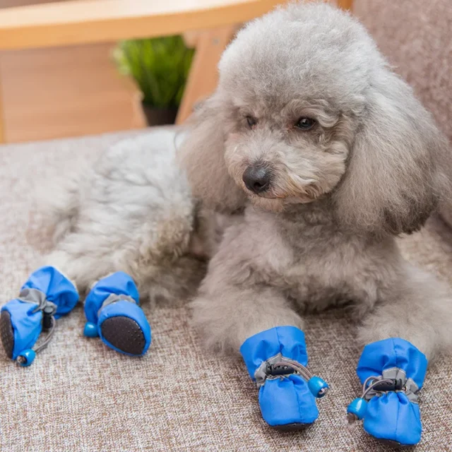 4pcs Pet Dog Shoes Anti-Slip Waterproof Shoes For Dogs Rain Snow Dog Boots Footwear Thick Warm Cat Dog Socks Small Dogs Slippers - Image 6