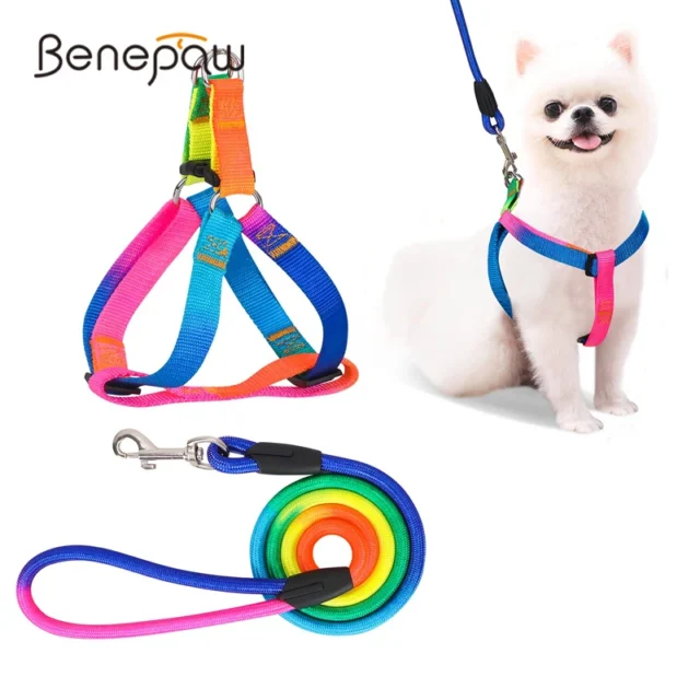 Benepaw Rainbow No Pull Dog Harness Leash Set Adjustable Safe Nylon Pet Vest Harnes For Outdoor Walking For Small Medium Dogs