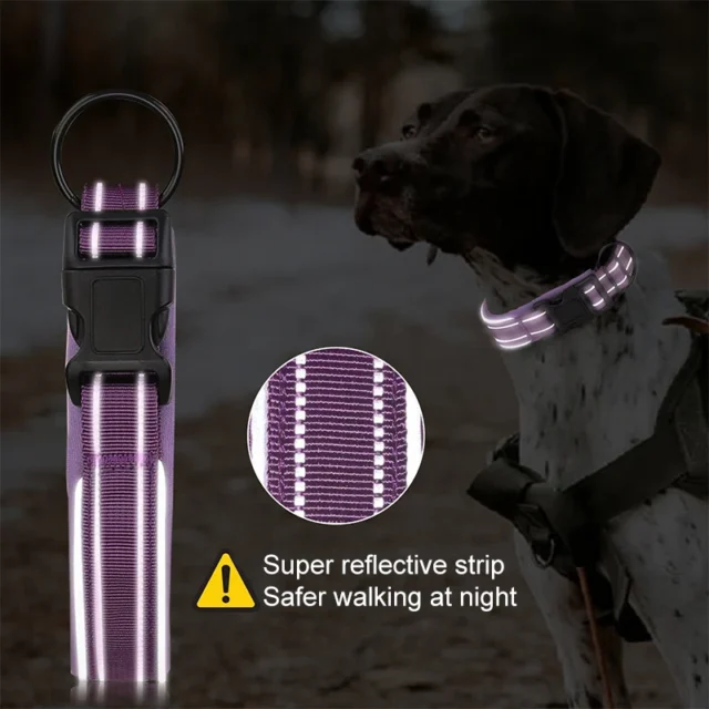 New Removable Locating Pet Collar AirTag Collar Anti-Lost Dog Tracker Protective Case Dog Collar Outdoors Walking Pet Supplies - Image 4