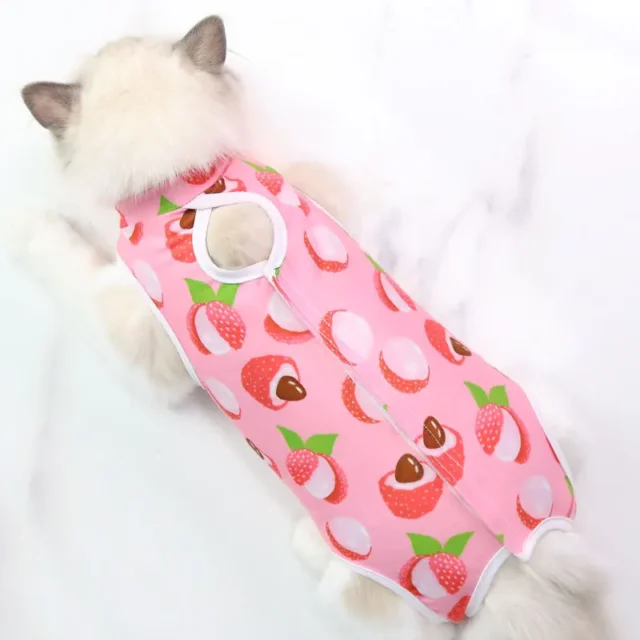 Cat Weaning Sterilization Suit Small Dog Cats Jumpsuit Anti-lick Recovery Clothing After Surgery Cute Print Pet Care Clothes - Image 3