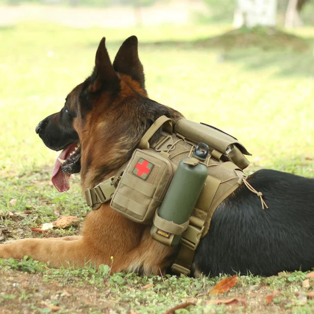 Military Dog Harness Vest, Tactical Accessories, Fit for Pitbull, Pug, Perros, Chien, Grande - Image 6