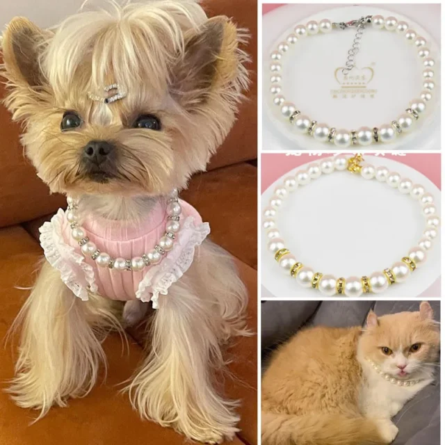 Pearl Dog Necklace for Small Dogs Cats Puppy Bling Puppy Wedding Collar Jewelry Chihuahua Yorkie Bichon Costume Pet Accessories