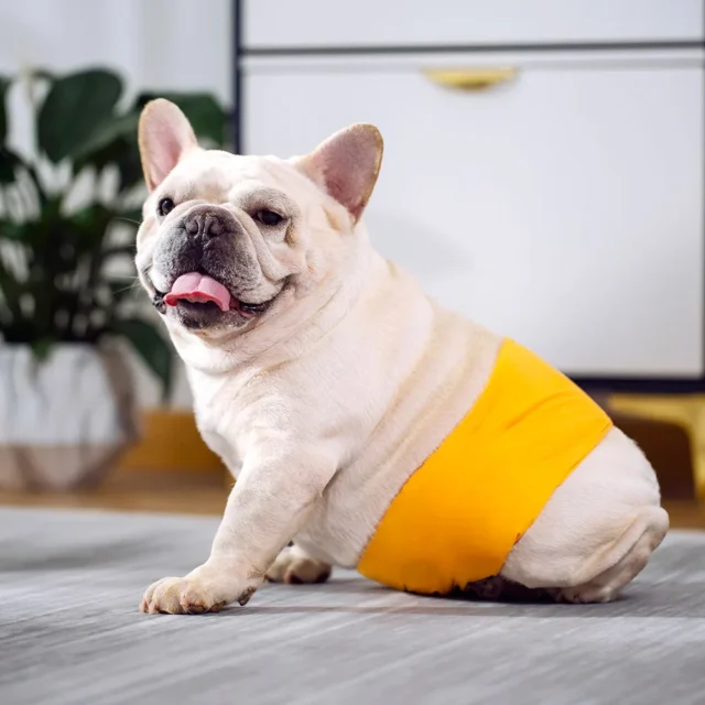 Male Dogs Belly Bands Reusable Boy Dogs Diapers Washable for Small Medium Large Dogs Soft Adjustable Pet Dog Physiological Pants - Image 4