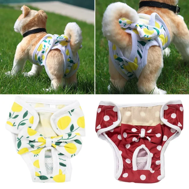 Dog Physiological Pants Cute Print Pet Underwear Female Dog Diper Panties Bowknot Princess Pet Menstrual Pants New Puppy Clothes - Image 4