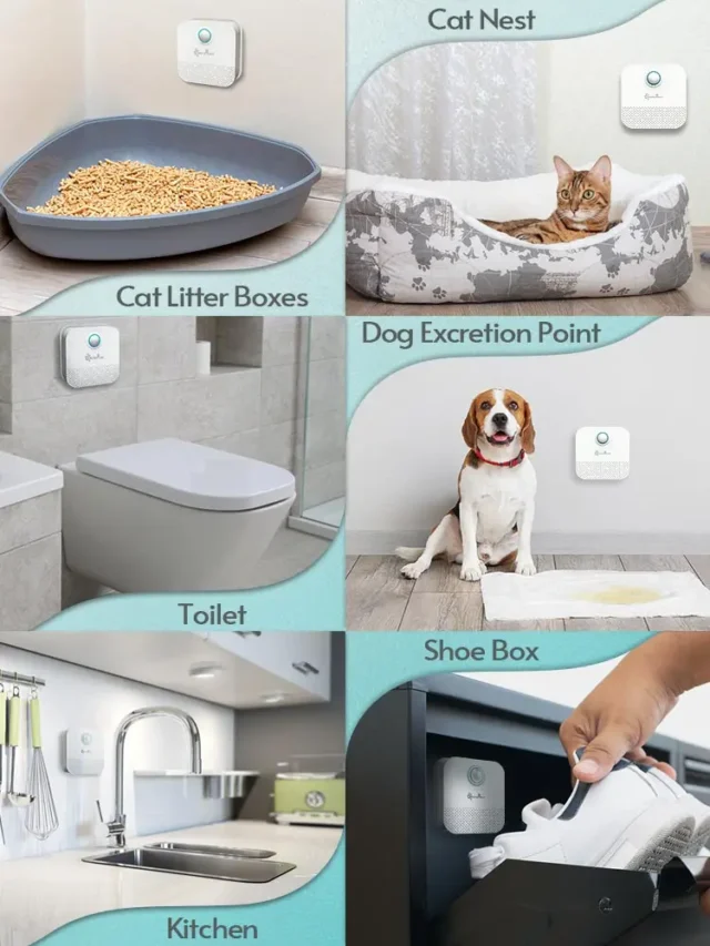 DownyPaws 4000mAh Smart Cat Odor Purifier For Cat Litter Box Deodorizer Pet Toilet Air Purifier Dog Cat Litter Deodorant - Image 6