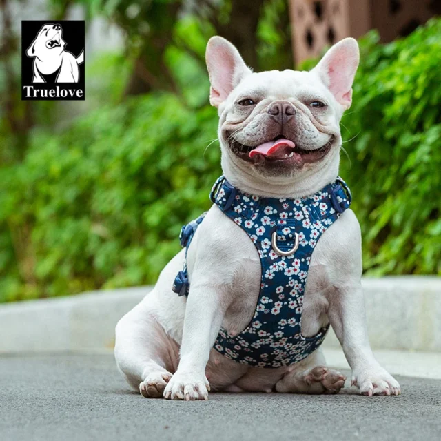 Truelove Dog Harness New Fashion Design Harness for Small Large Dog Cotton Floral Multi Sizes Adjustable Reflective TLH6283 - Image 4