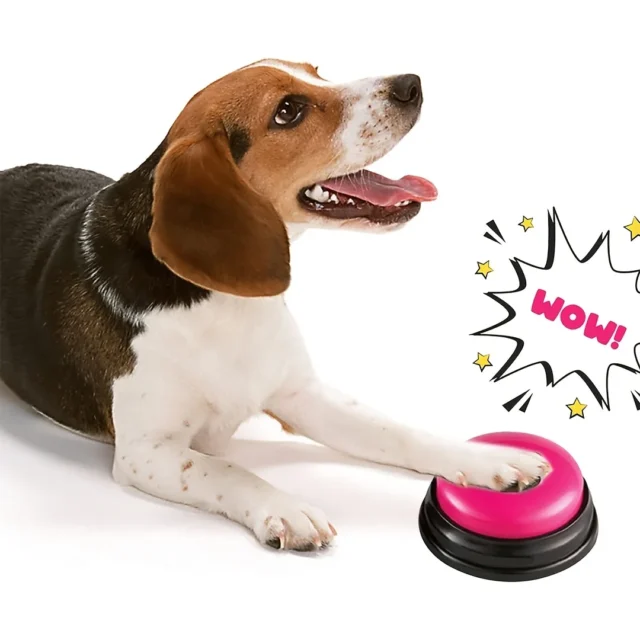 Dog Voice Recording Button Pet Communication Training Buzzer Teach Dog To Talk Recordable Talking Button Intelligence Pet Toy - Image 6