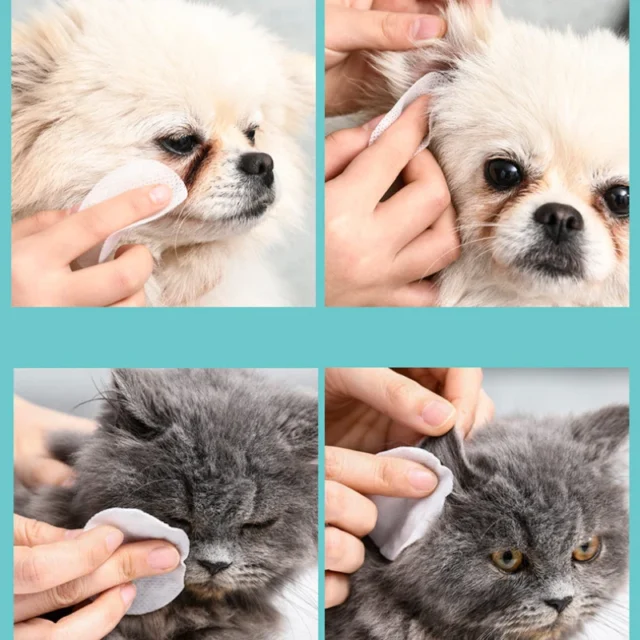 Pet Remove Dirt From Eyes and Ears Wipes Dog Cat Earwax Clean Ears Odor Remover Pets Wet Tissue Cleaning Tools Supplies - Image 3