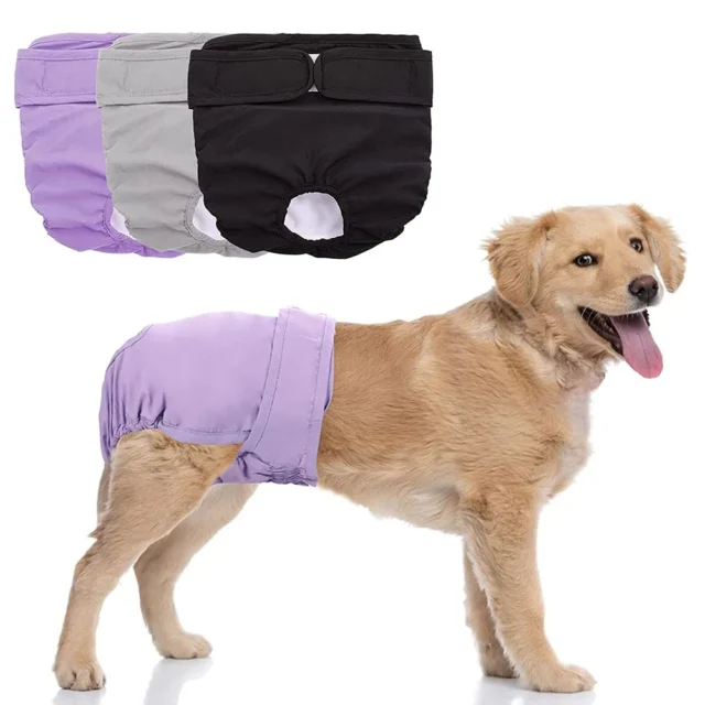 Female Dog Diapers Washable Pet Underwear for Girl Puppies Large Dogs Panties Sanitary Physiological Pants for Dogs Pet Supplies