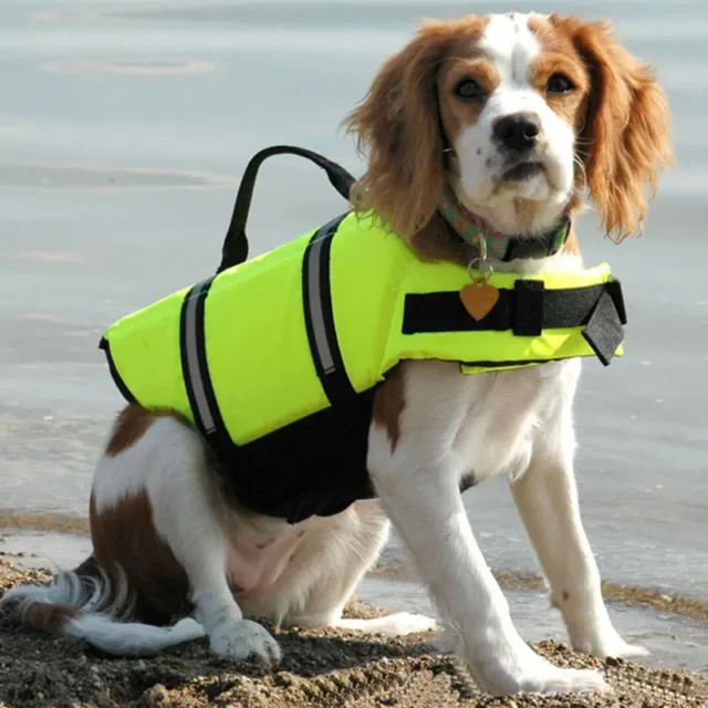 Dog Lift Jacket Pet Swimming Suit, Dog Clothing, Puppy Clothes, Pet Accessories - Image 4