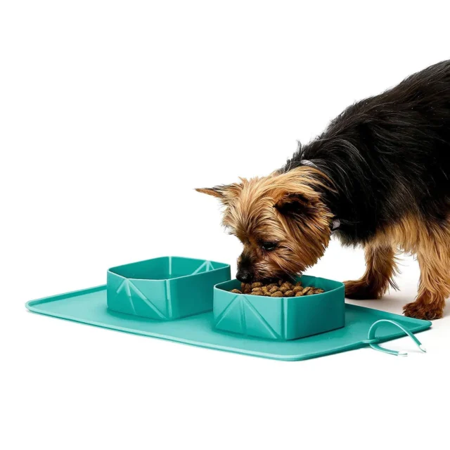 Pet Cats Feeder Outdoor Travel 2Pcs Dog Collapsible Silicone Bowl Portable Travel Double Bowl Folding Feeding Bowl Water Dish - Image 5