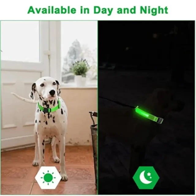 LED Glowing Dog Collar Adjustable Flashing Rechargea Luminous Collar Night Anti-Lost Dog Light HarnessFor Small Dog Pet Products - Image 4