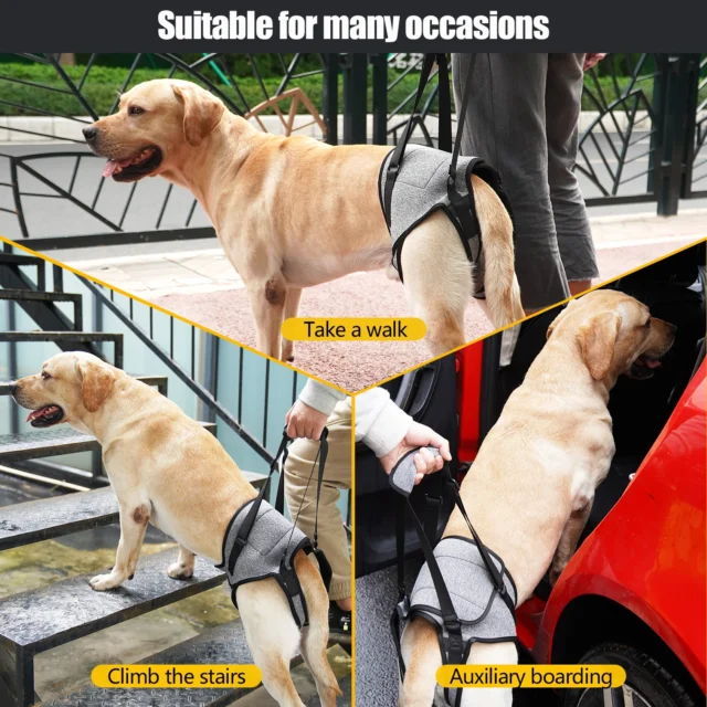 Dog Harness Support Brace For Leg Injury Protector Outdoor Walking Lead Leash For Dog Disability Pet Collar Handheld Padded - Image 5