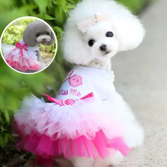 Summer Dogs Tutu Dress Lace Mesh Pet Clothes For Small Dog Colorful Sweet Puppy Wedding Dress Good Quality Dog Clothes